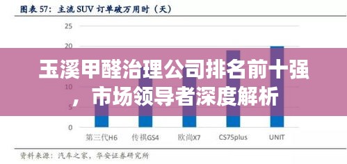 玉溪甲醛治理公司排名前十强，市场领导者深度解析