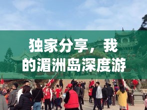 鸟哭猿啼
