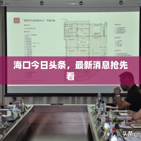 海口今日头条，最新消息抢先看