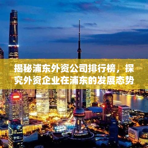 揭秘浦东外资公司排行榜，探究外资企业在浦东的发展态势