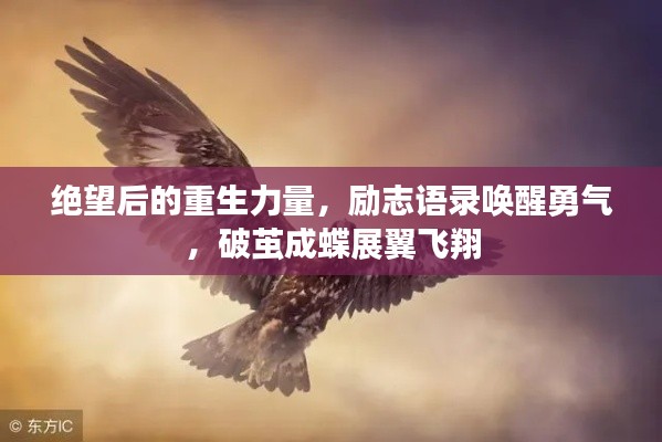 绝望后的重生力量，励志语录唤醒勇气，破茧成蝶展翼飞翔