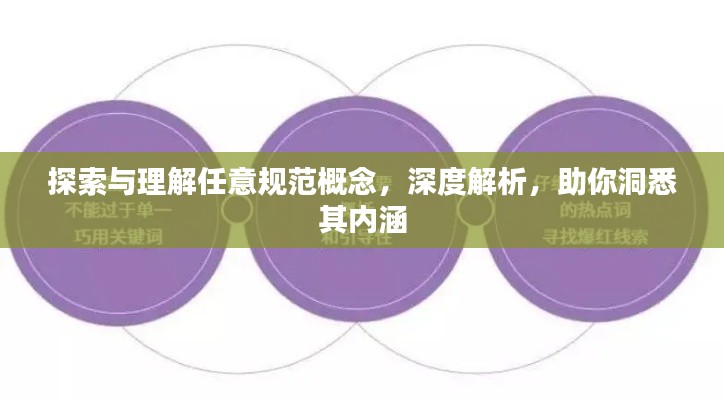 探索与理解任意规范概念，深度解析，助你洞悉其内涵