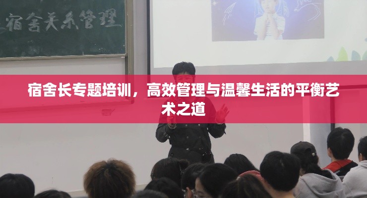 宿舍长专题培训，高效管理与温馨生活的平衡艺术之道