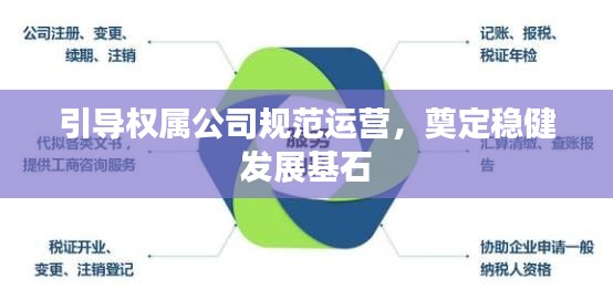 引导权属公司规范运营，奠定稳健发展基石