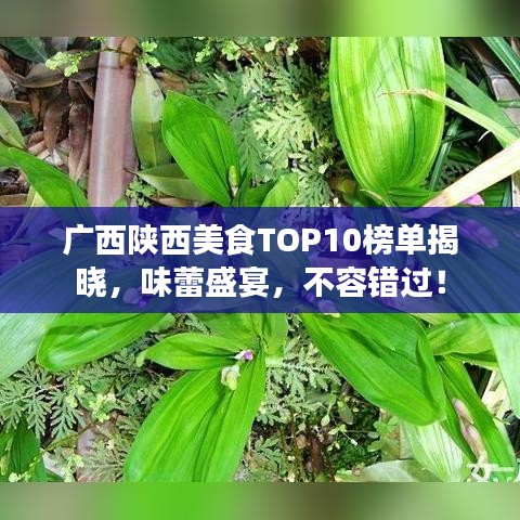广西陕西美食TOP10榜单揭晓，味蕾盛宴，不容错过！