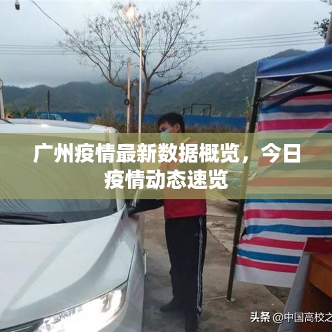 广州疫情最新数据概览，今日疫情动态速览