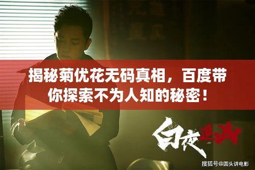 揭秘菊优花无码真相，百度带你探索不为人知的秘密！