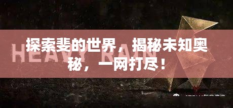探索斐的世界，揭秘未知奥秘，一网打尽！
