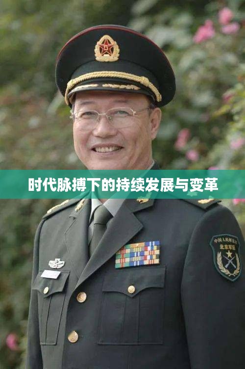 时代脉搏下的持续发展与变革