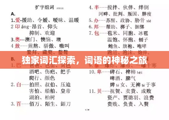独家词汇探索，词语的神秘之旅