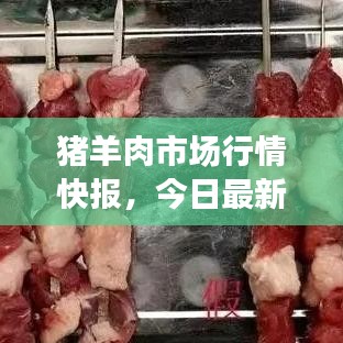 猪羊肉市场行情快报，今日最新价格动态