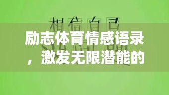 励志体育情感语录，激发无限潜能的短句荟萃
