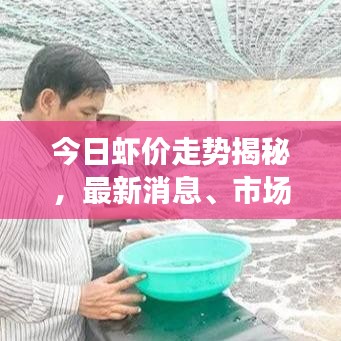 今日虾价走势揭秘，最新消息、市场分析以及预测报告