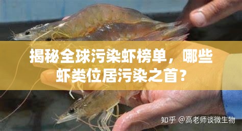 揭秘全球污染虾榜单，哪些虾类位居污染之首？