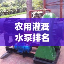 农用灌溉水泵排名TOP10及应用领域解析