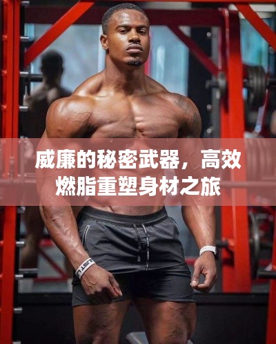 威廉的秘密武器，高效燃脂重塑身材之旅