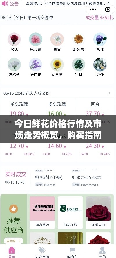 今日鲜花价格行情及市场走势概览，购买指南