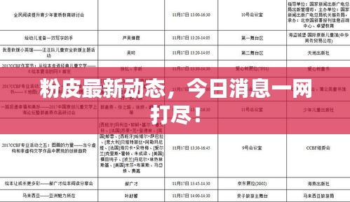 粉皮最新动态，今日消息一网打尽！