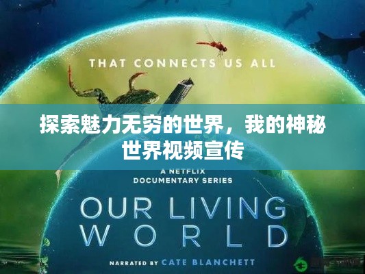 探索魅力无穷的世界，我的神秘世界视频宣传