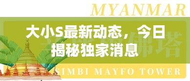 大小S最新动态，今日揭秘独家消息