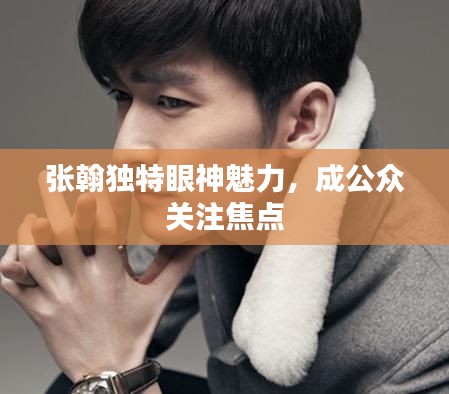 张翰独特眼神魅力，成公众关注焦点