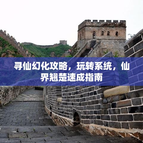 豪门贵胄