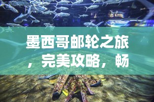 墨西哥邮轮之旅，完美攻略，畅游海洋与文化的盛宴