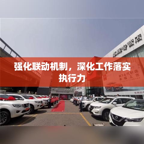 强化联动机制，深化工作落实执行力