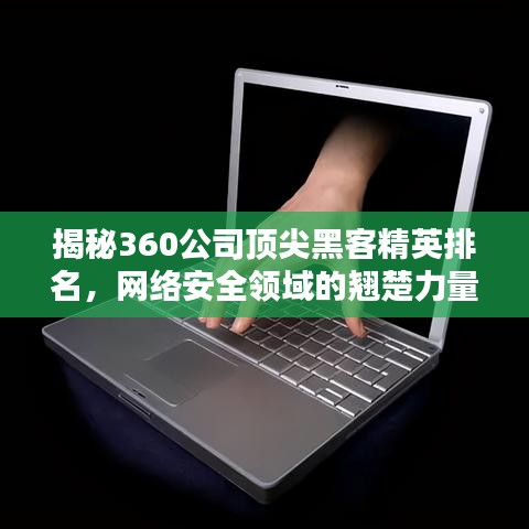 寒蝉僵鸟