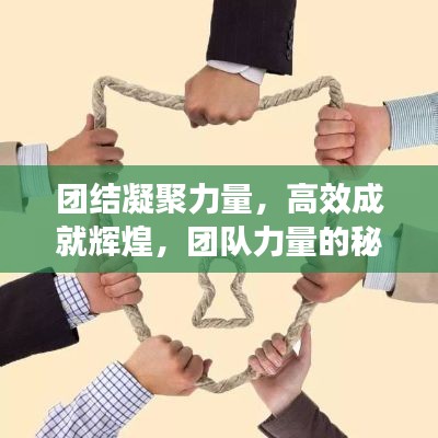 团结凝聚力量，高效成就辉煌，团队力量的秘密武器