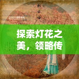 昙花一现