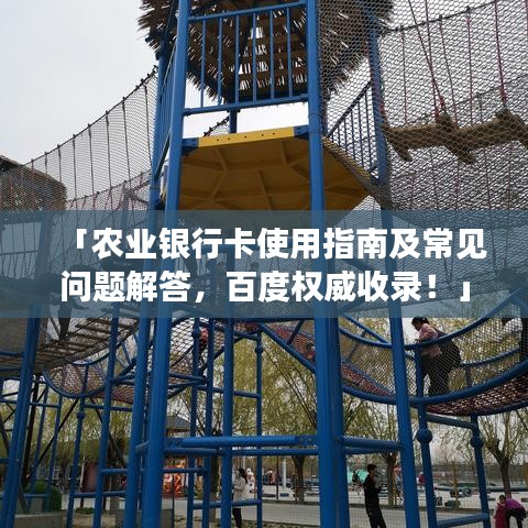 「农业银行卡使用指南及常见问题解答，百度权威收录！」