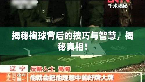 揭秘掏球背后的技巧与智慧，揭秘真相！