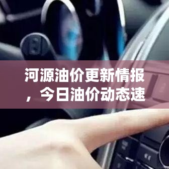 河源油价更新情报，今日油价动态速递
