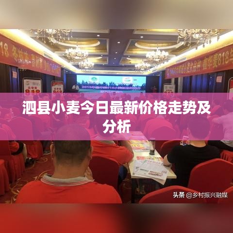 泗县小麦今日最新价格走势及分析