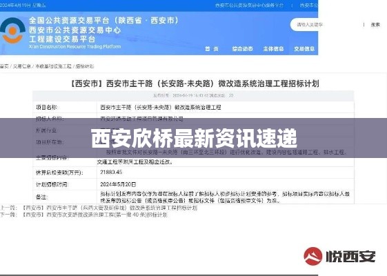 西安欣桥最新资讯速递