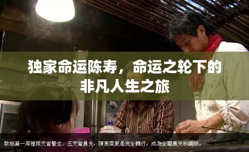 独家命运陈寿，命运之轮下的非凡人生之旅