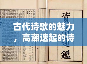古代诗歌的魅力，高潮迭起的诗句探索