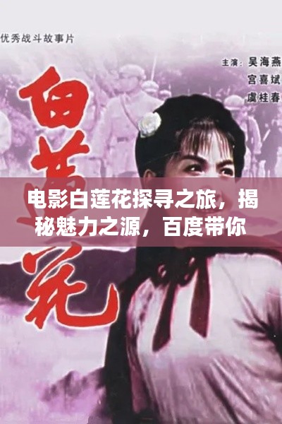 电影白莲花探寻之旅，揭秘魅力之源，百度带你深入了解！