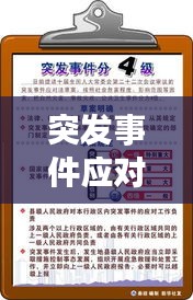 突发事件应对法视角下的应对之道探讨
