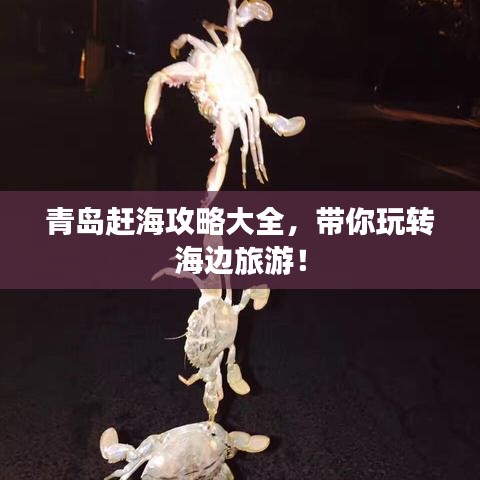 青岛赶海攻略大全，带你玩转海边旅游！