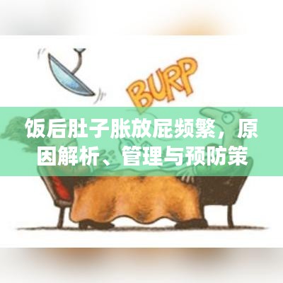 饭后肚子胀放屁频繁，原因解析、管理与预防策略