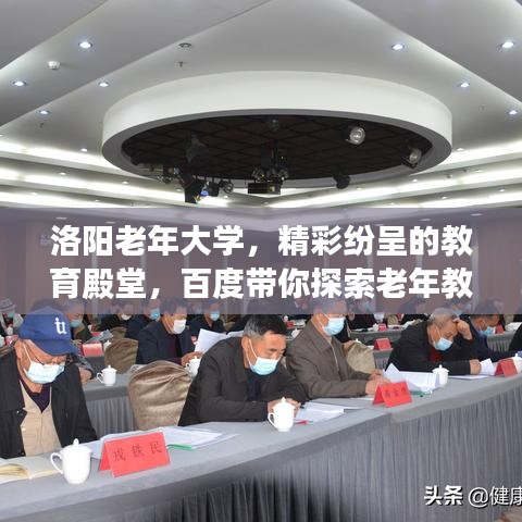 洛阳老年大学，精彩纷呈的教育殿堂，百度带你探索老年教育之旅