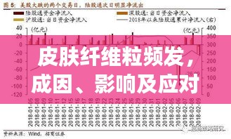 鞭驽策蹇