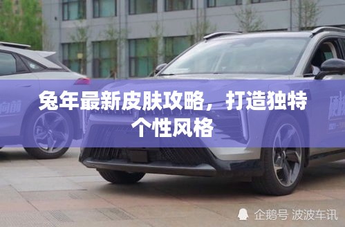 兔年最新皮肤攻略，打造独特个性风格