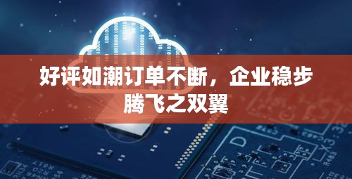 好评如潮订单不断，企业稳步腾飞之双翼