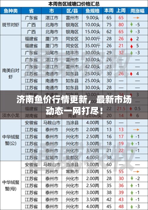 济南鱼价行情更新，最新市场动态一网打尽！