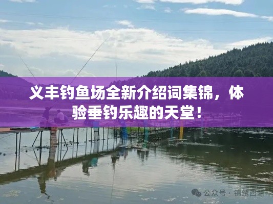 义丰钓鱼场全新介绍词集锦，体验垂钓乐趣的天堂！