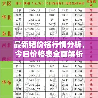 最新猪价格行情分析，今日价格表全面解析