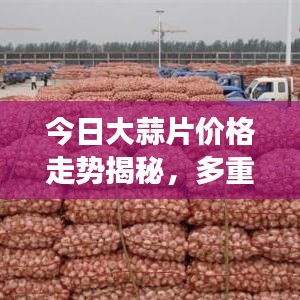 今日大蒜片价格走势揭秘，多重因素分析与深度解读